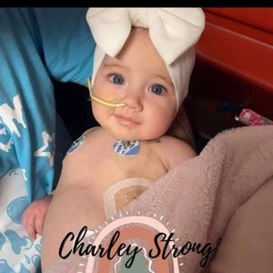 Meet your Posher, Marley